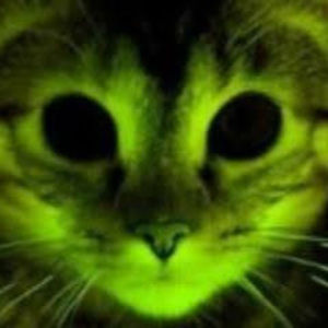 Meet your Posher, Yb